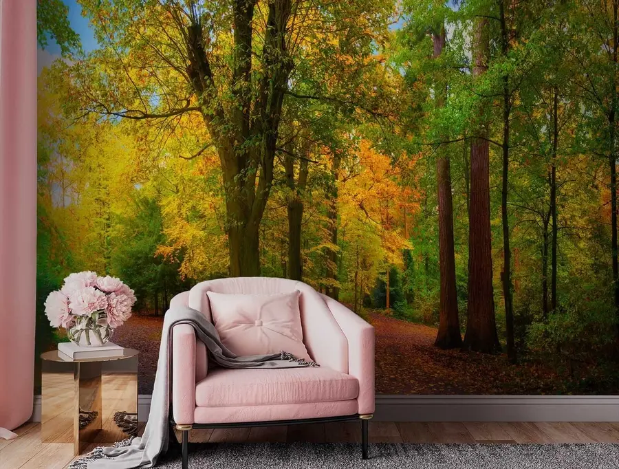 murais de parede Início do outono u08547