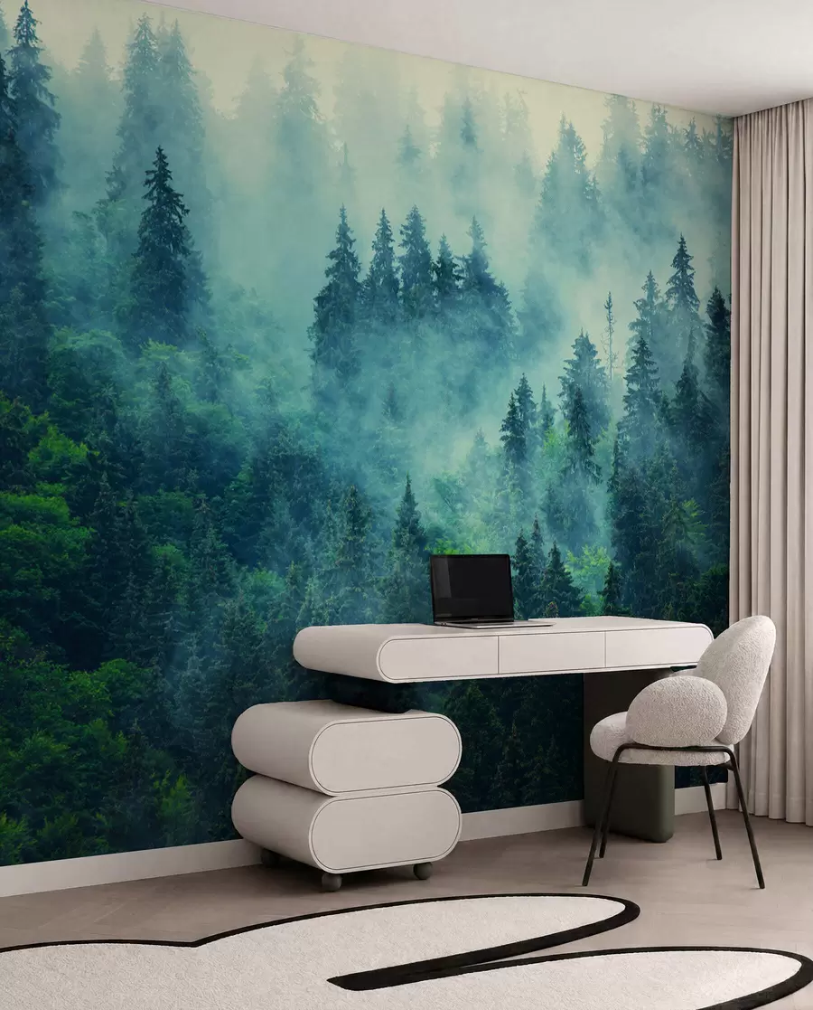 murais de parede Floresta nebulosa pela manhã u33150