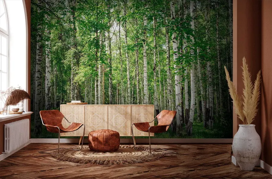 murais de parede Floresta de bétulas u52530