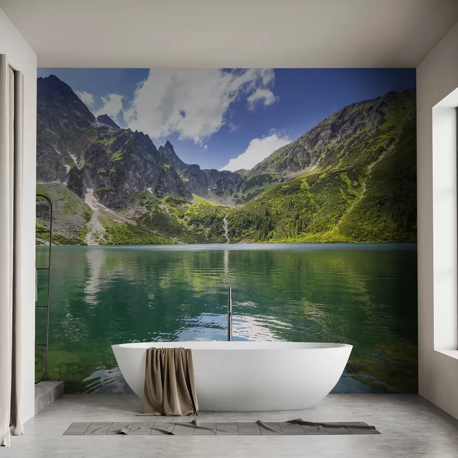 murais de parede Vista da montanha u54486