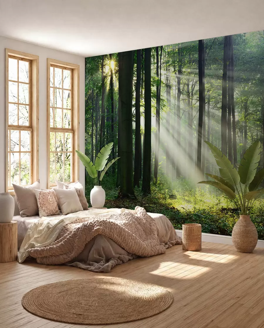 murais de parede Raios ensolarados na floresta u56787