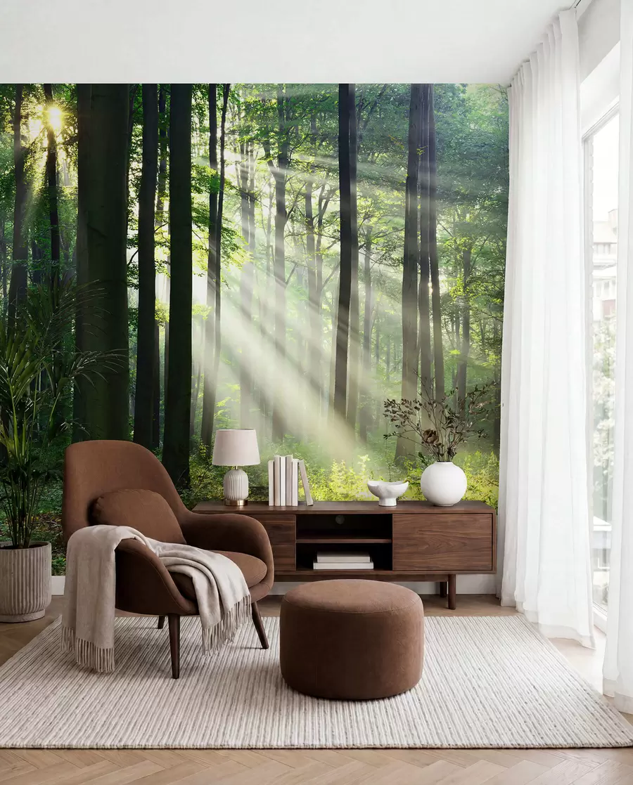 murais de parede Raios ensolarados na floresta u56787
