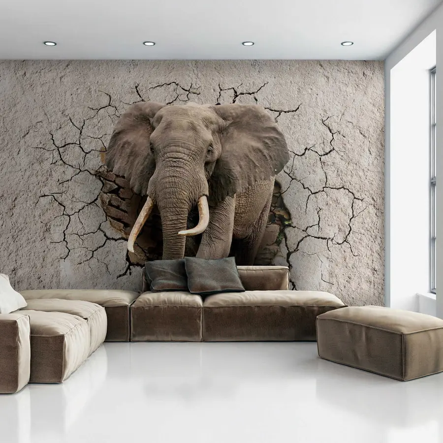 murais de parede Elefante atravessa a parede u77854