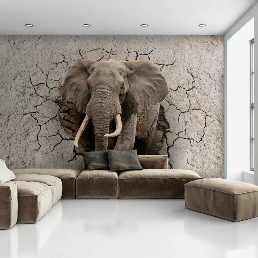 murais de parede Elefante atravessa a parede u77854