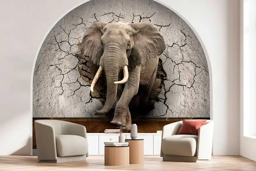 murais de parede Elefante atravessa a parede u77854