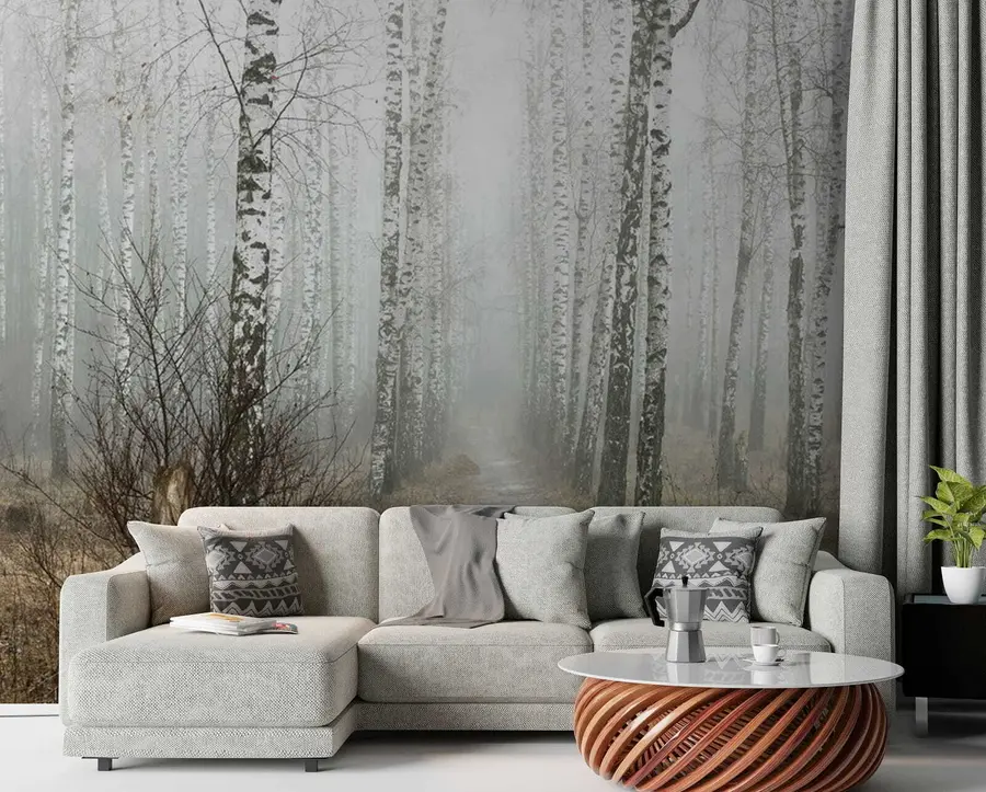 murais de parede Bétulas na névoa u58950