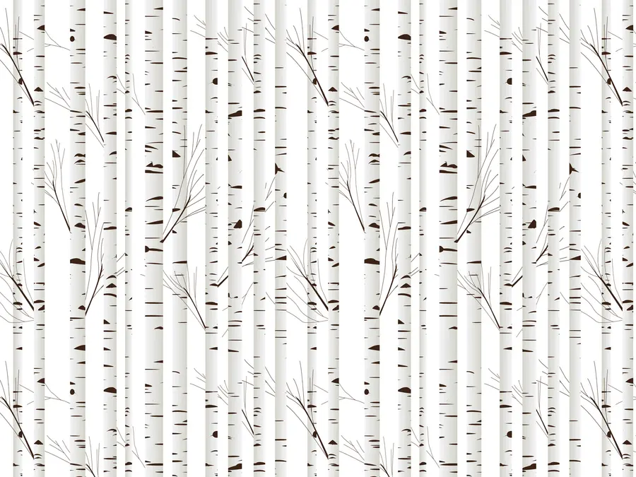 murais de parede Floresta de bétulas u58973