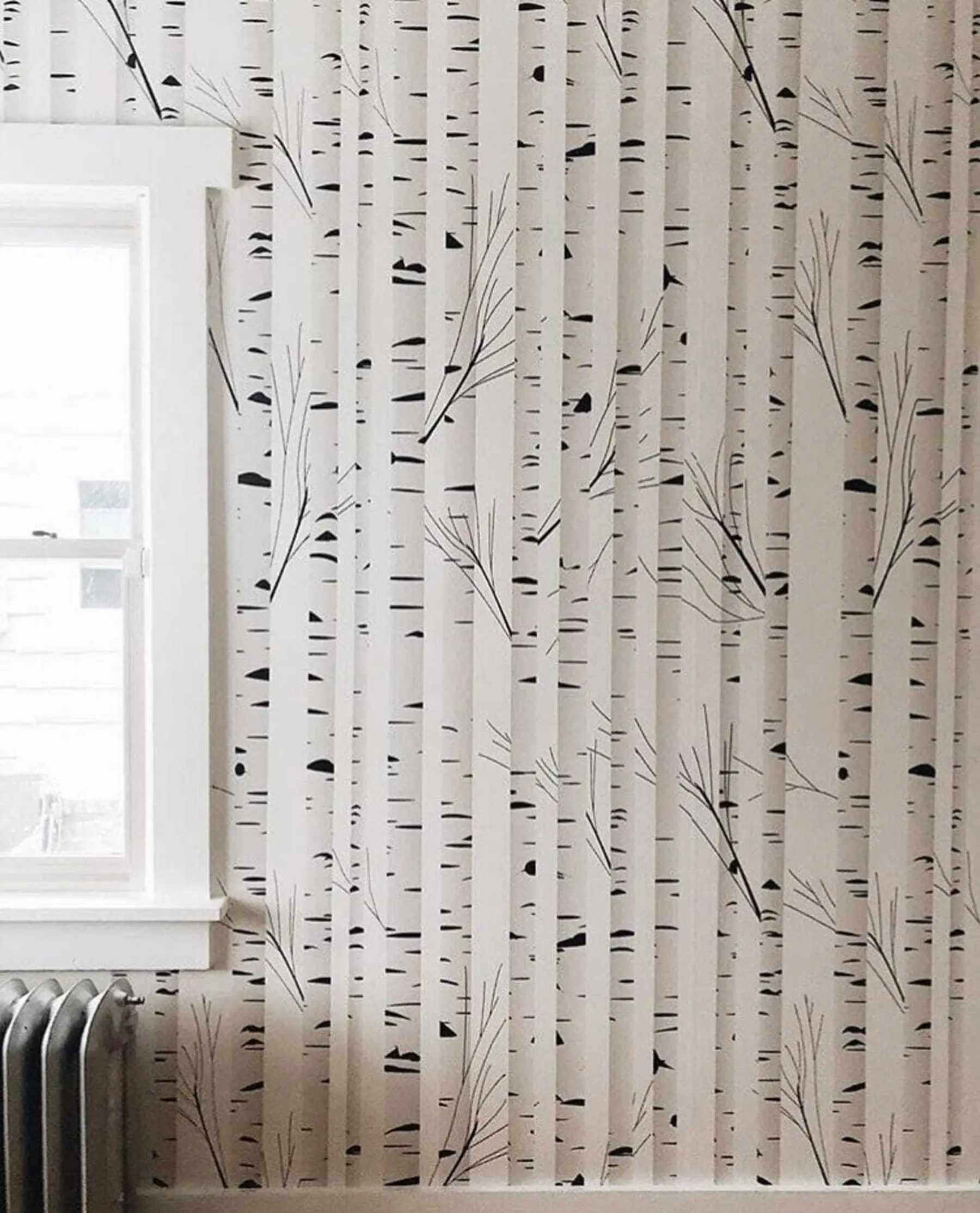 murais de parede Floresta de bétulas u58973