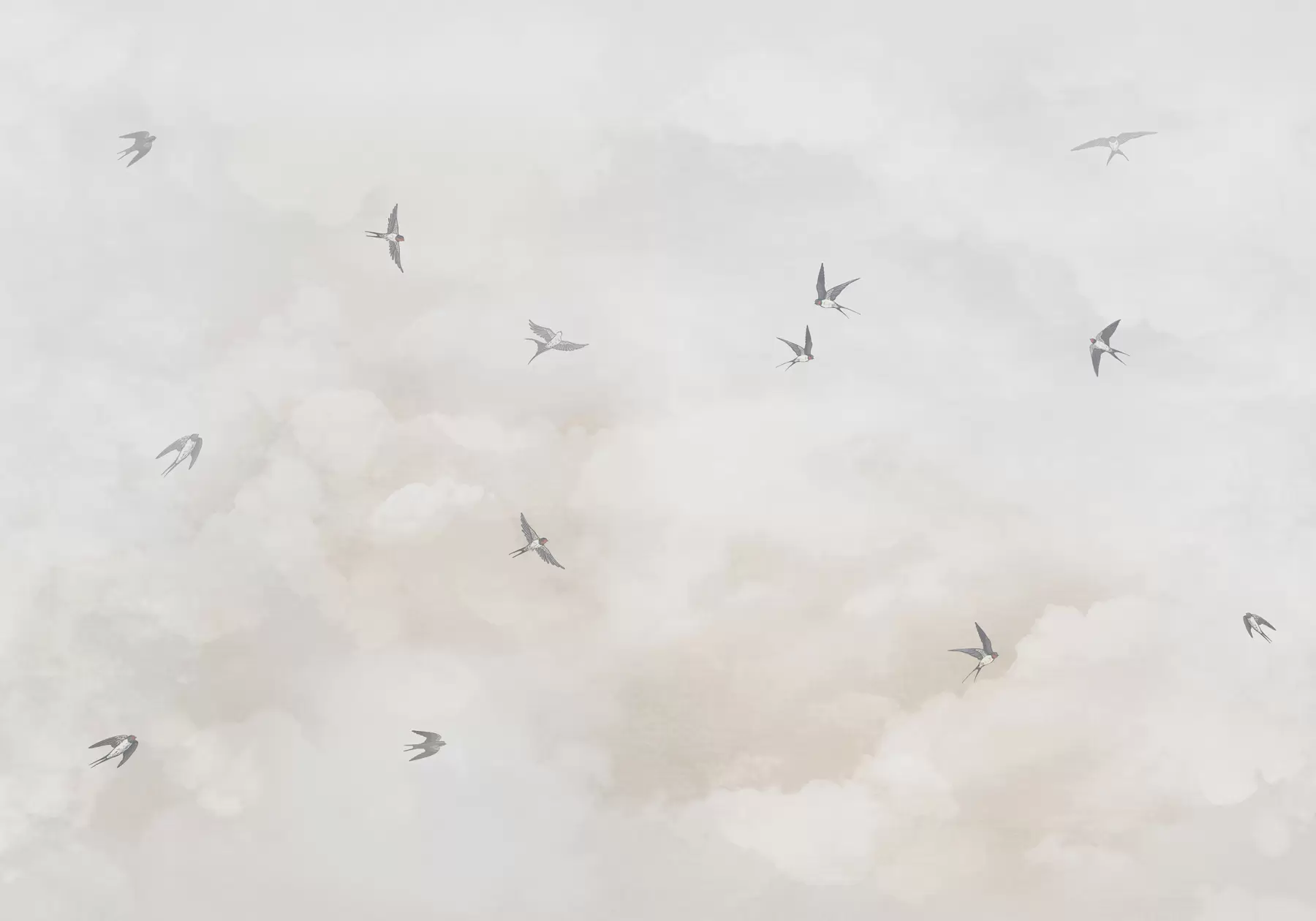 murais de parede Céu com andorinhas w00526v2