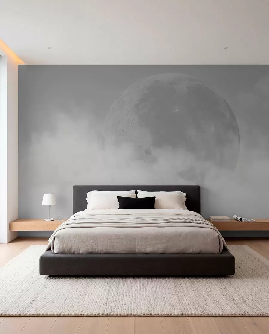 murais de parede Lua num céu prateado w00548v1