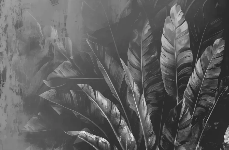 murais de parede Folhas pretas w00971