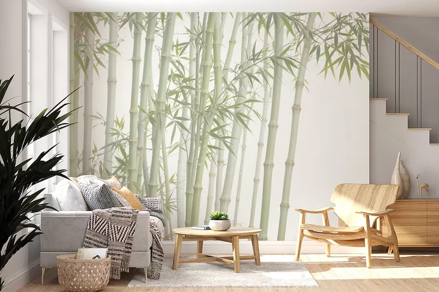 murais de parede Uma densa floresta de bambu com altos caules de bambu e folhas verdes contra um fundo suave e nebuloso w08237