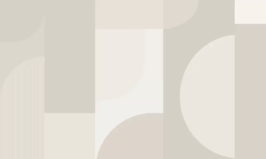 murais de parede Minimalismo geométrico elegante w01500v3