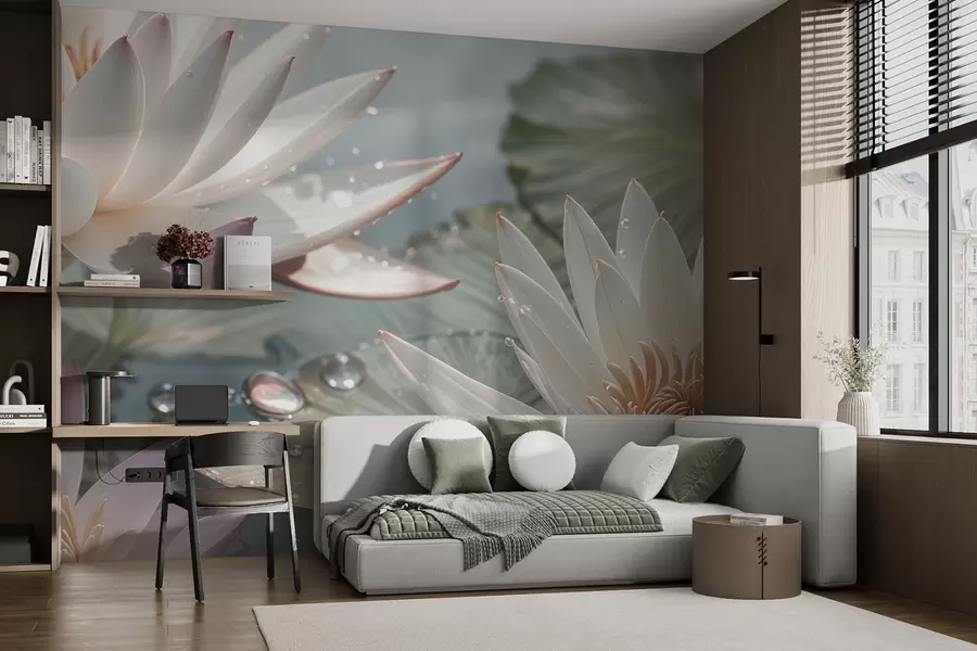 murais de parede Grande plano de flores de lótus brancas com gotas de água nas pétalas sobre um fundo verde esbatido w08252