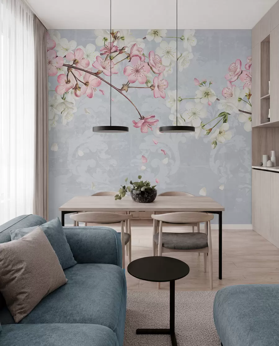 murais de parede Flores de cerejeira cor-de-rosa e brancas em plena floração, com pétalas suaves a cair sobre um fundo azul texturado w08254