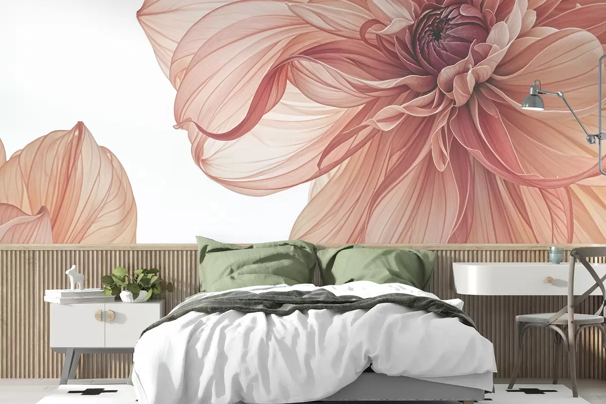 murais de parede Um grande plano de várias flores grandes e vibrantes de dália vermelha com pétalas suaves e delicadas sobre um fundo branco w08257