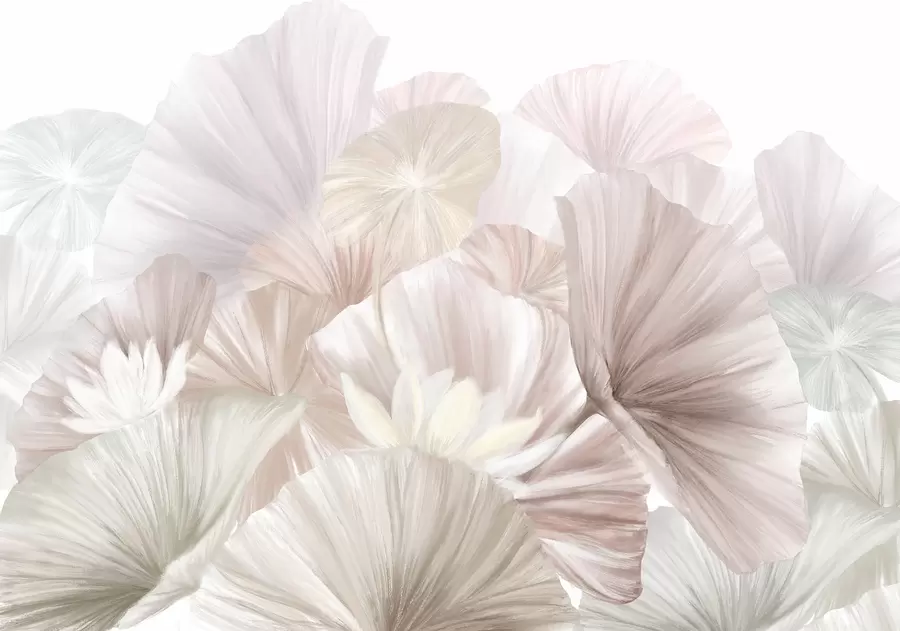 murais de parede Delicadas folhas de lótus cor-de-rosa com flores brancas com pétalas suaves e emplumadas dispostas numa composição artística natural w08265v1