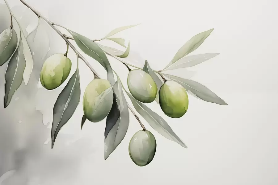 murais de parede Ramo com azeitonas verdes aguarela húmida w02042