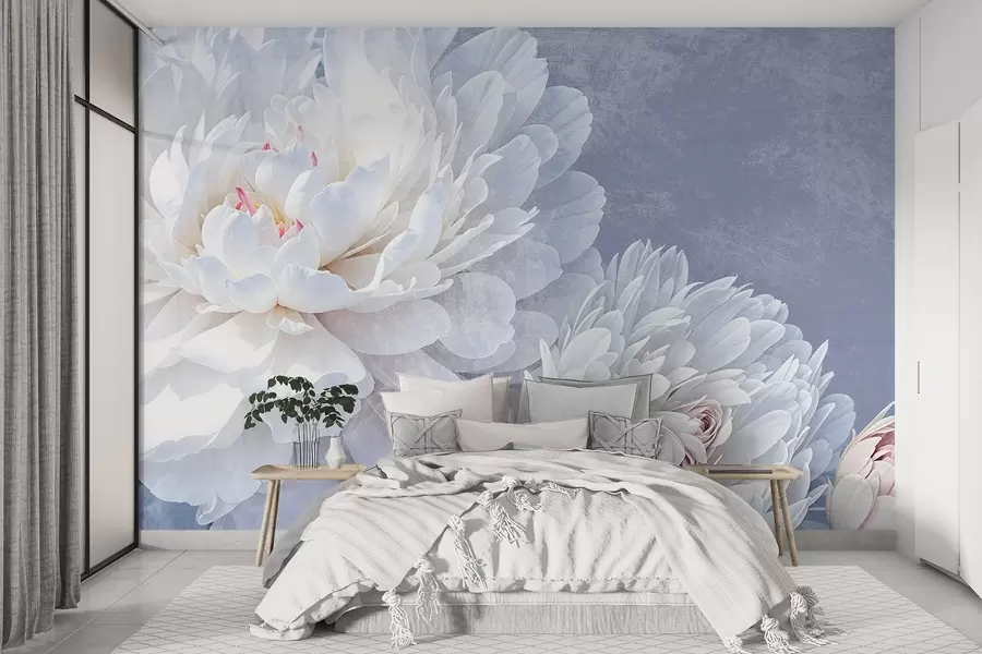 murais de parede Flores de peónia brancas pormenorizadas com pétalas suaves e delicadas sobre um fundo texturado azul pastel claro w08379