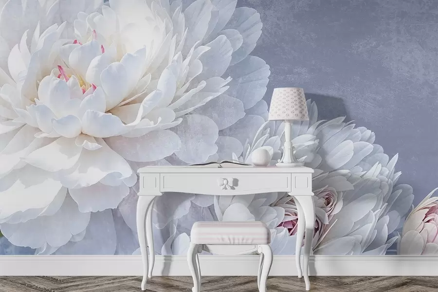 murais de parede Flores de peónia brancas pormenorizadas com pétalas suaves e delicadas sobre um fundo texturado azul pastel claro w08379