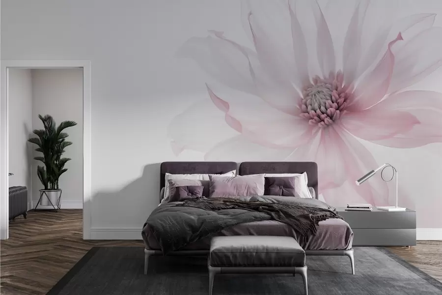 murais de parede Delicada flor cor-de-rosa sobre fundo claro w02077v2
