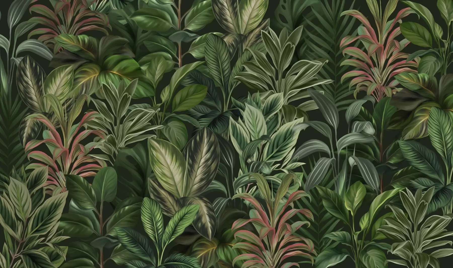 murais de parede Folhagem tropical verde e espessa w02126
