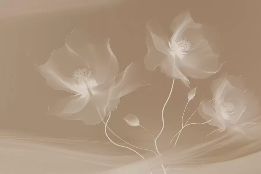 murais de parede Três graciosas flores com pétalas translúcidas, entrelaçadas com fitas de luz e vento em sépia w01932v1