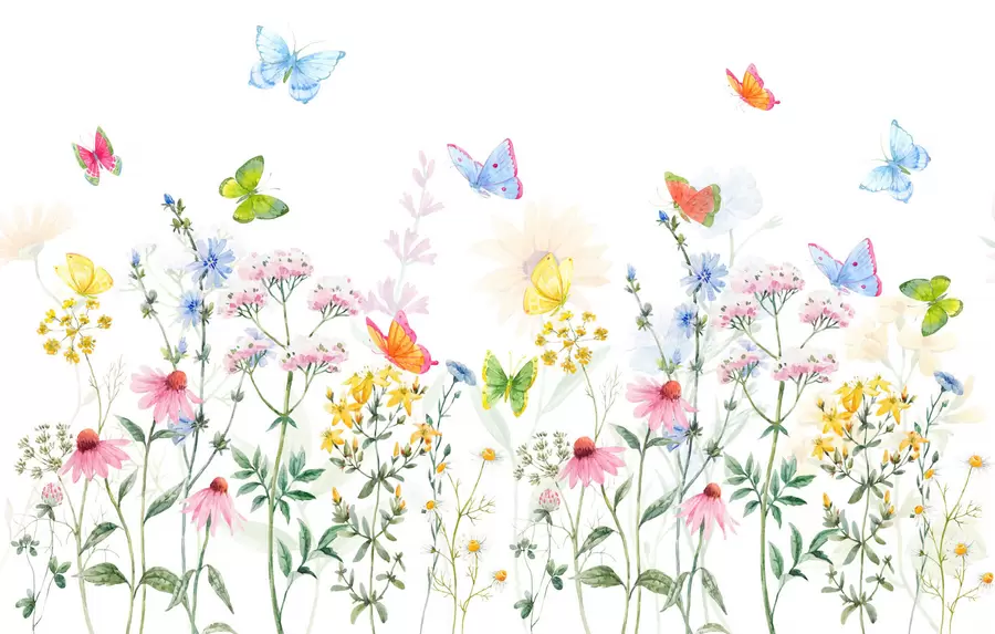 murais de parede Flores e plantas coloridas e borboletas w02238