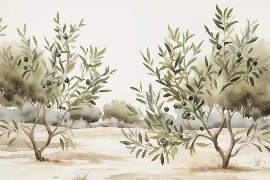 murais de parede Aguarela de imitação abstrata de oliveiras w02583