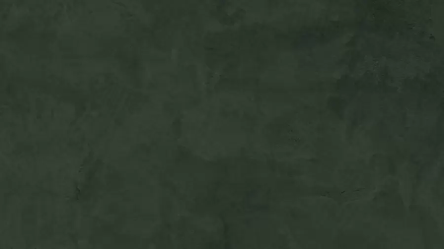 murais de parede Fundo verde com efeito de parede de betão w02553v1