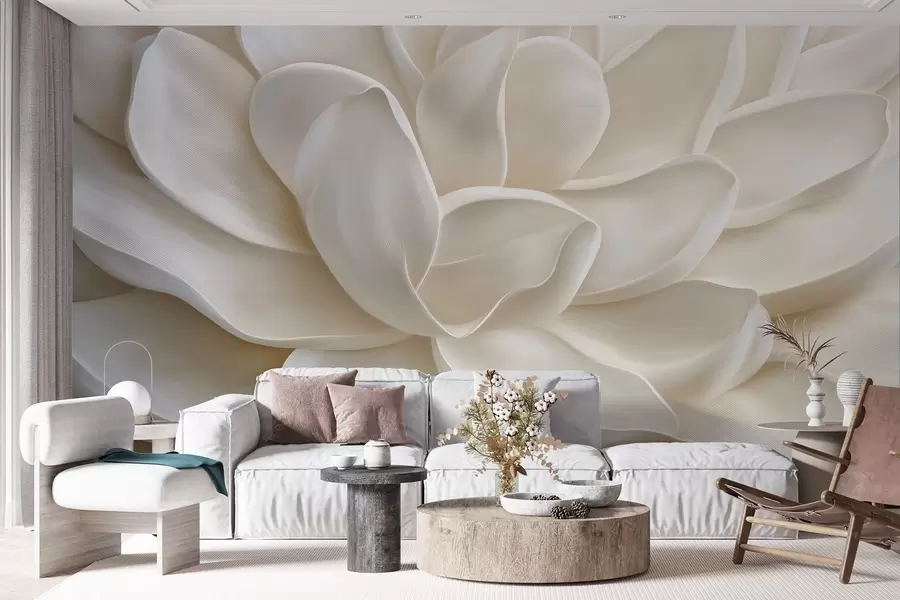 murais de parede Uma flor suculenta clara em grande plano w08563