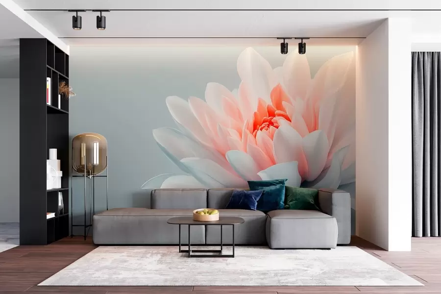 murais de parede Flor grande sobre um fundo cinzento  w02906
