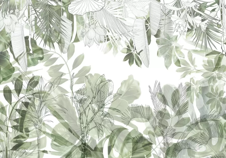 murais de parede Plantas e folhas tropicais impressas na selva verde sobre um fundo branco w08823