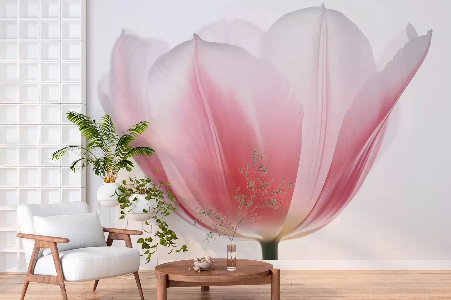 murais de parede Tulipa w03224