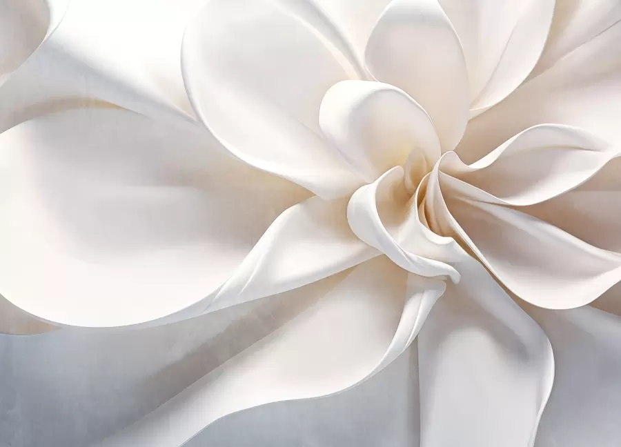 murais de parede Uma flor minimalista de textura pastel branca com pétalas suaves, leve e arejada, sobre um fundo branco w08868