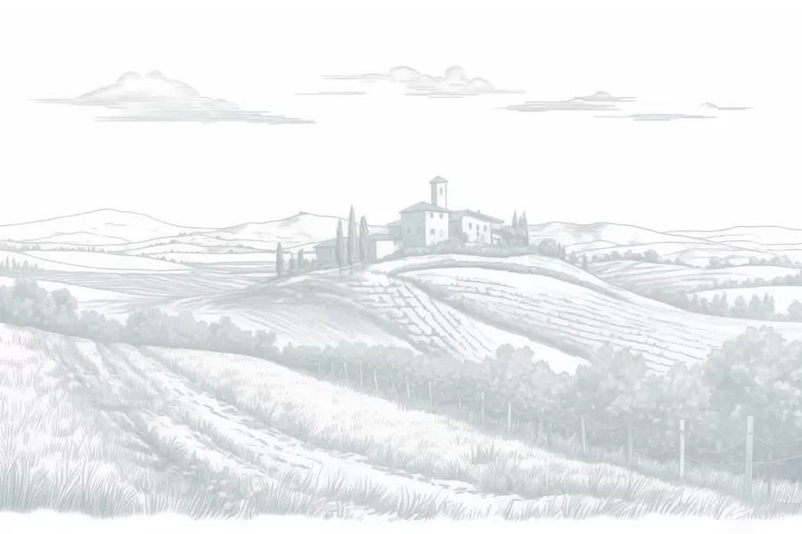 murais de parede Paisagens da Toscana, Itália, vinhas, natureza, castelo antigo, cores azuis w03349v1