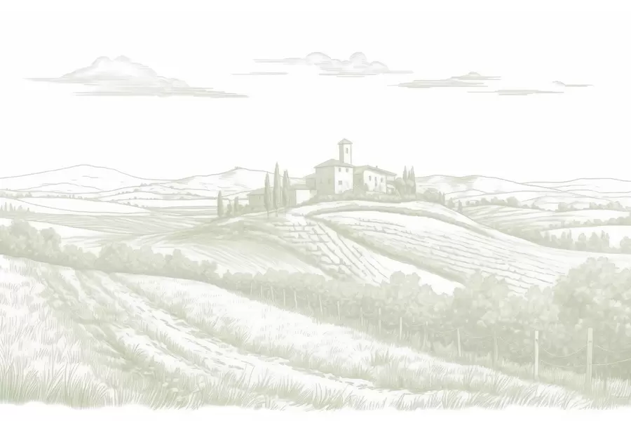 murais de parede Paisagens da Toscana, Itália, vinhas, natureza, castelo antigo, cores verdes w03349v2