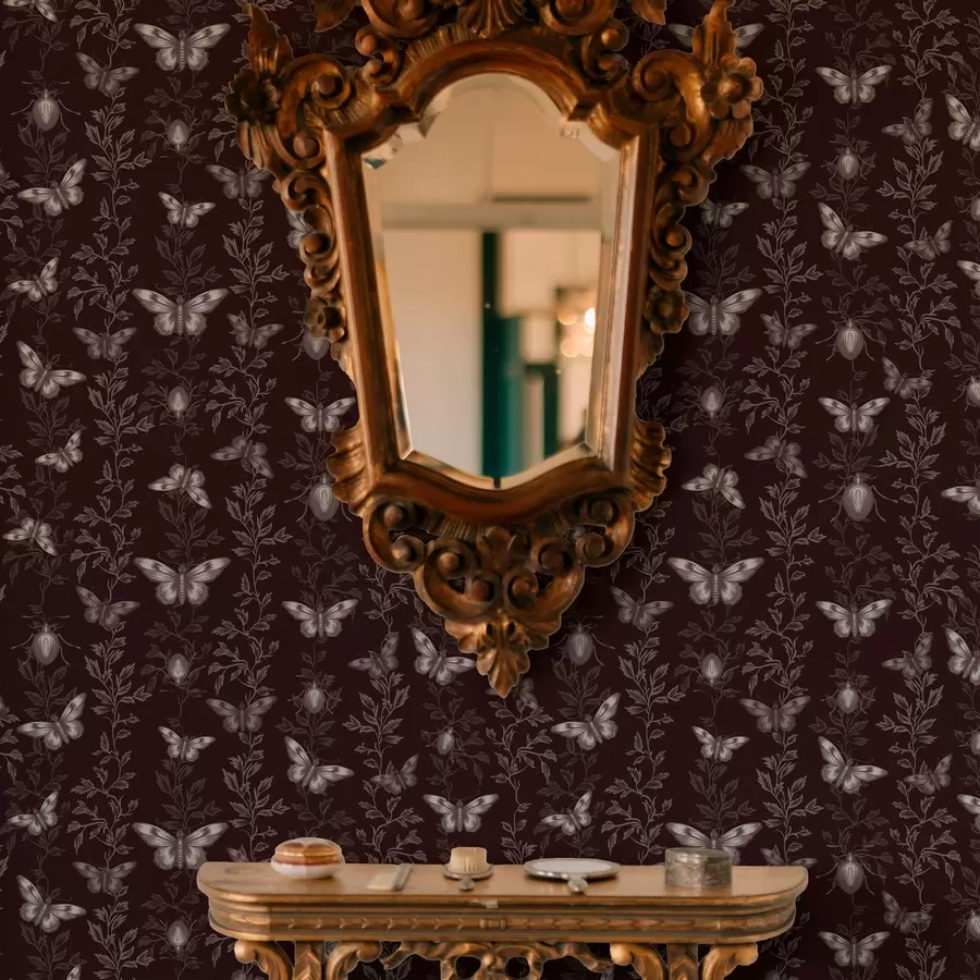 murais de parede Composição com borboletas, folhas e insectos sobre fundo escuro a00073v1