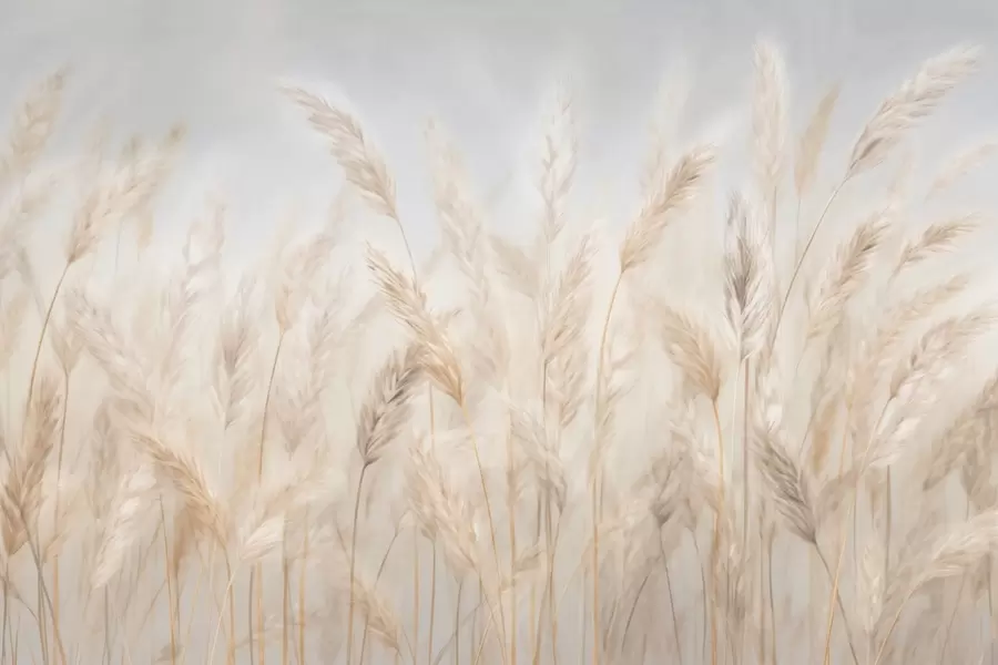 murais de parede Espiguetas contra o céu azul w03530