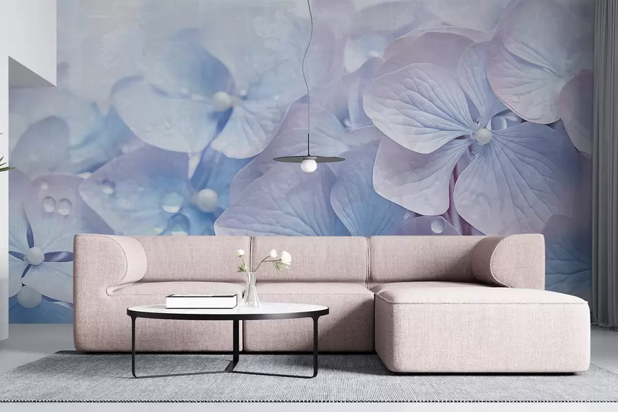 murais de parede Flores de hortênsia azuis e cor-de-rosa com textura vintage e gotas de água nas pétalas, fundo cor-de-rosa esbatido w08981
