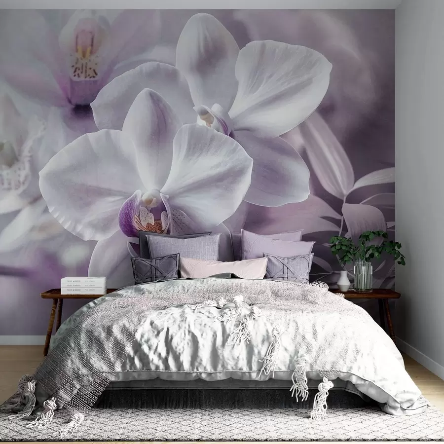 murais de parede Flores de orquídeas delicadas brancas e lilases, iluminação suave e um fundo texturado desfocado  w09155