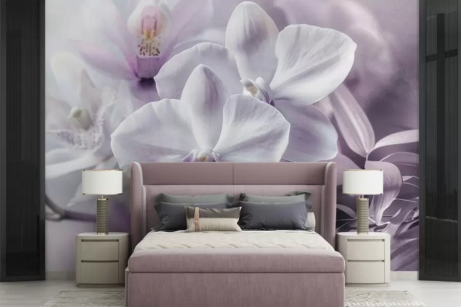 murais de parede Flores de orquídeas delicadas brancas e lilases, iluminação suave e um fundo texturado desfocado  w09155