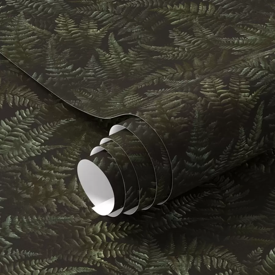murais de parede Feto escuro, ornamento de floresta, cores nocturnas a00214