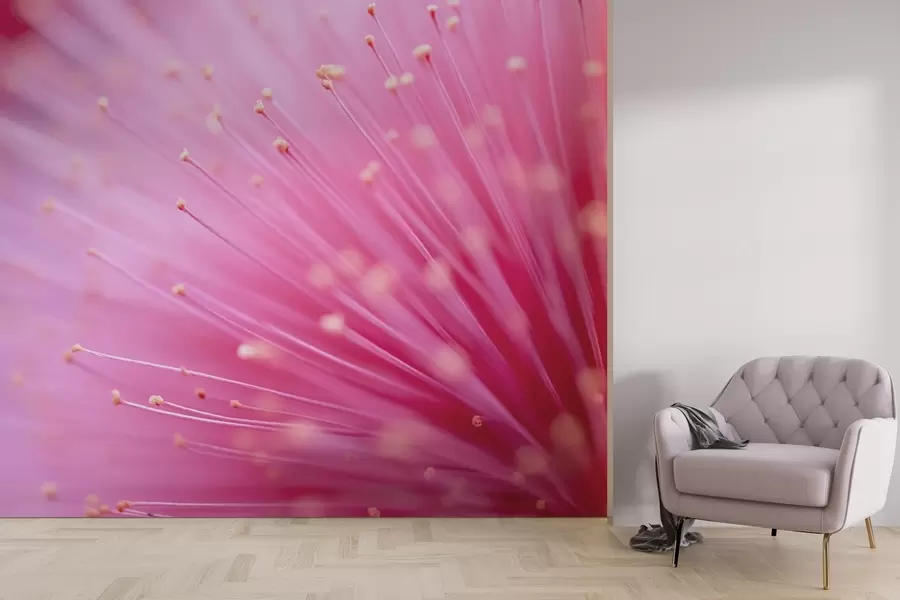 murais de parede Estames de flores cor-de-rosa em macro, abstração delicada w04154