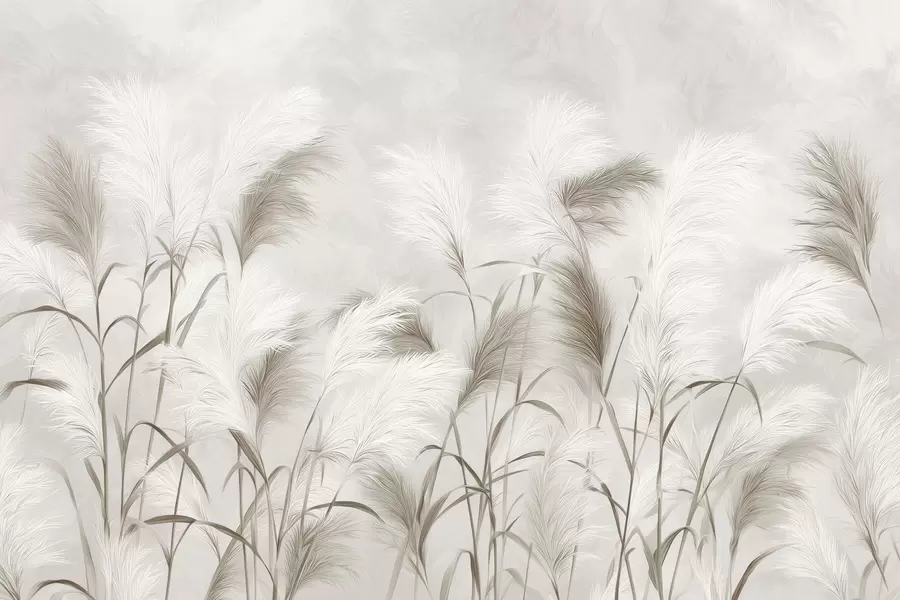 murais de parede A elegante erva-dos-pampas floresce em tons de cinzento e castanho w09150