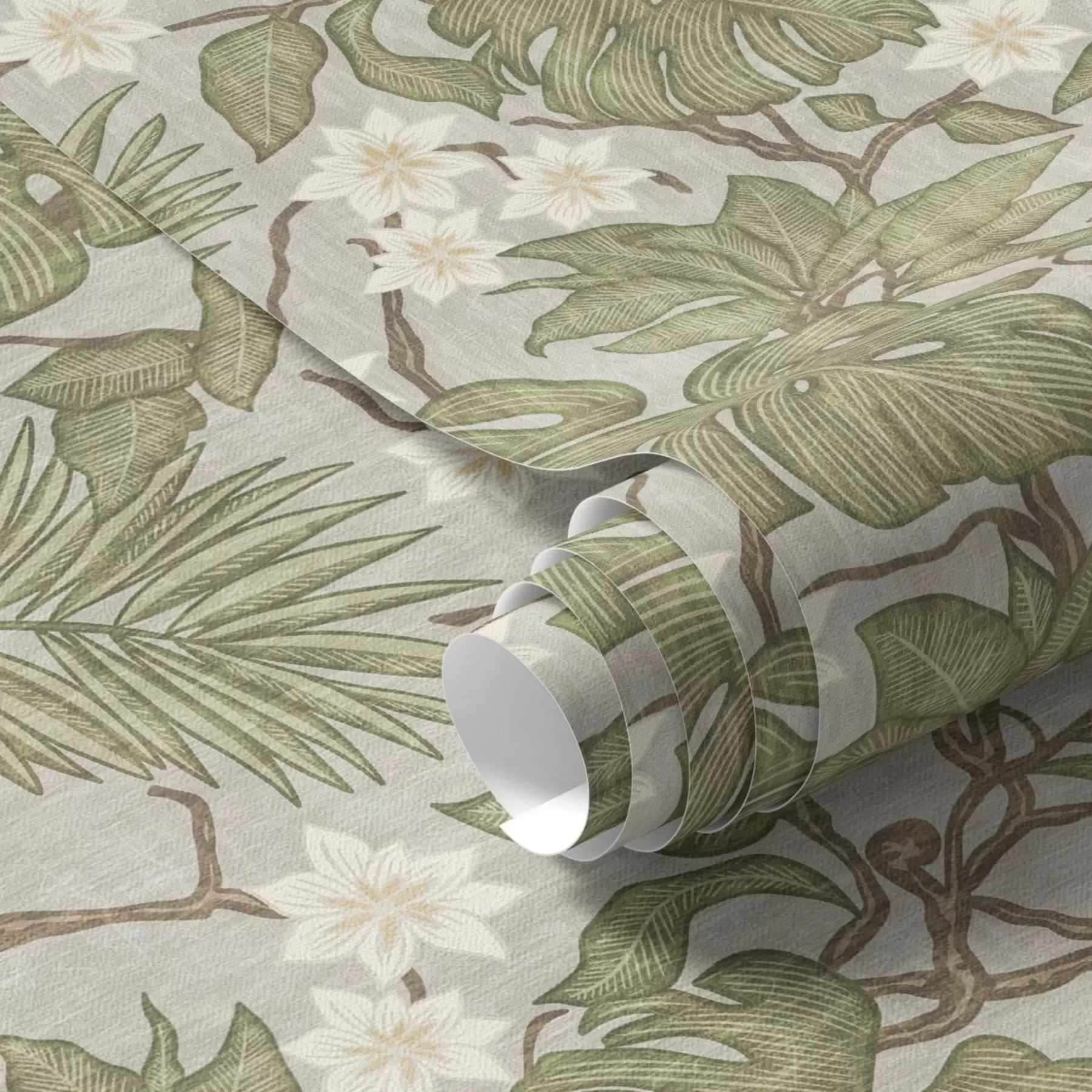 murais de parede Folhas e flores de monstera tropical sobre um fundo cinzento a00249