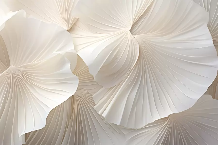 murais de parede pétalas, flores, branco, creme, textura, ternura, decorativo w04216