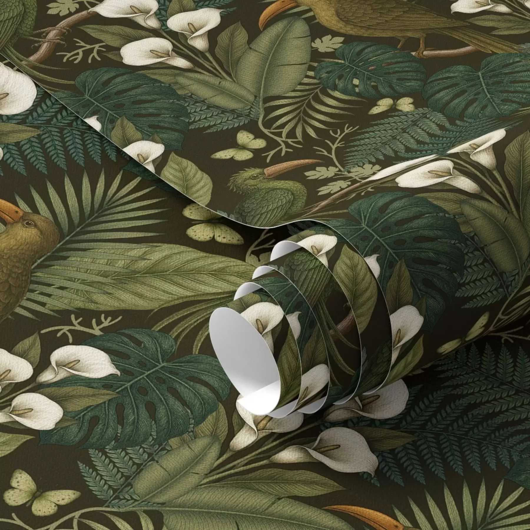 murais de parede Aves tropicais e vegetação luxuriante num fundo escuro de selva a00397