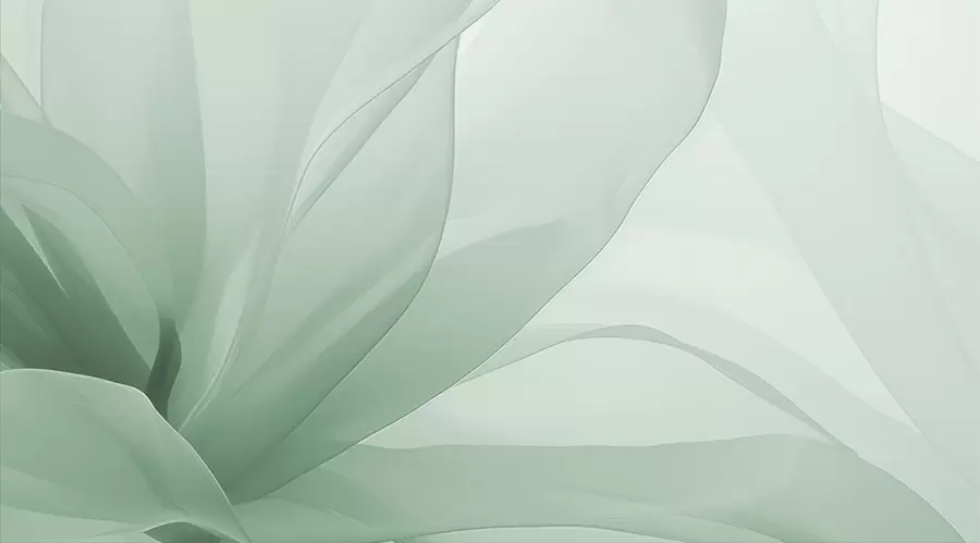 murais de parede Flor abstrata w04435v1