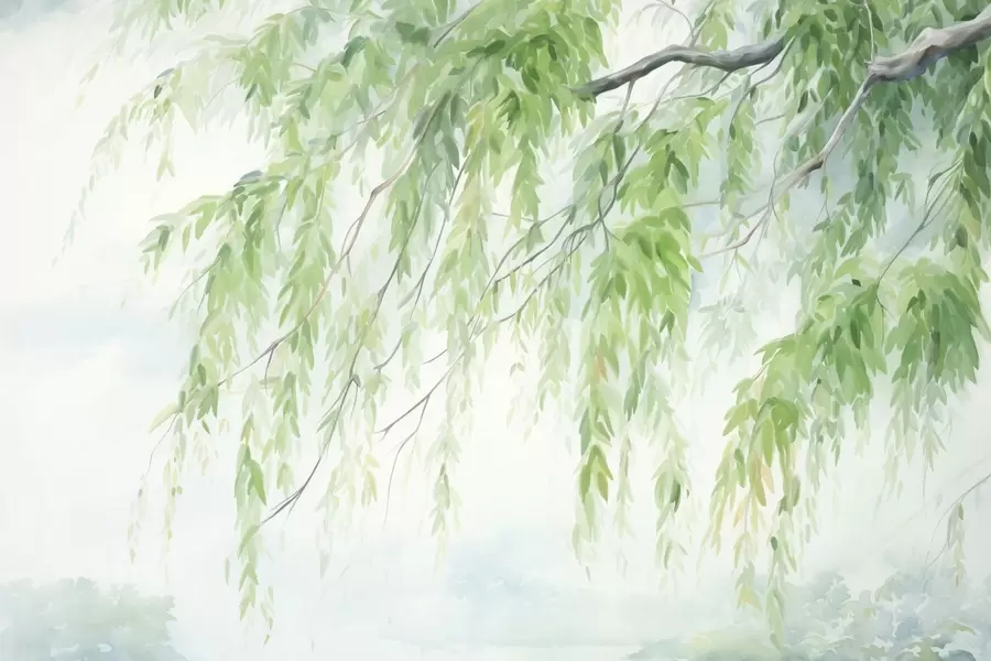 murais de parede Ramos de salgueiro-chorão com folhas verdes pendentes, pinceladas suaves e delicadas, estilo de pintura em aguarela w09365